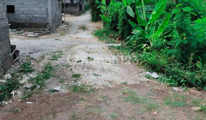 Land for Sale in Kerobokan Location.