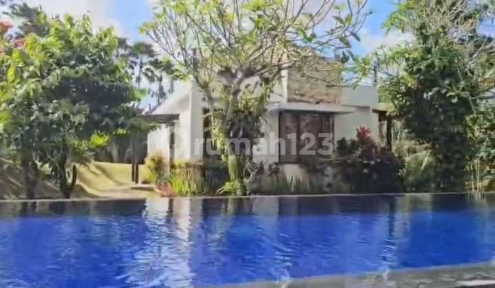 Tanah Jual Lokasi Bedulu