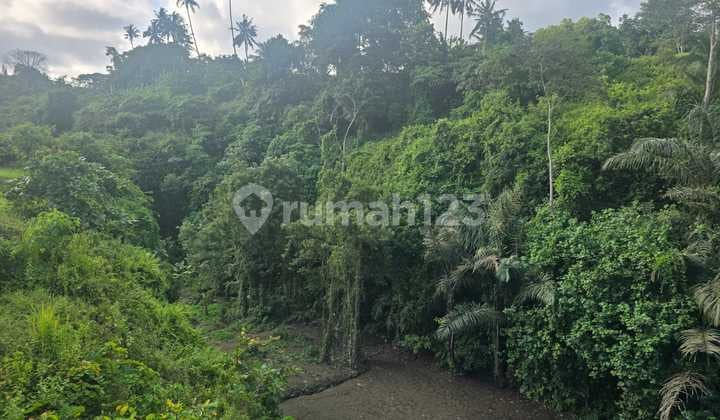 Tanah Jual Lokasi Bedulu