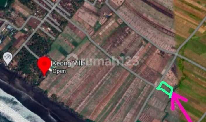 Land for Sale in Kerambitan