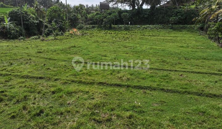 Tanah Jual Lokasi Balian