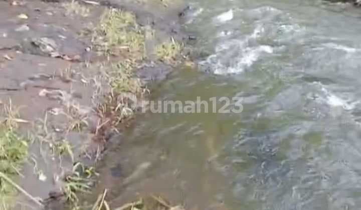 Tanah Jual Lokasi Payangan