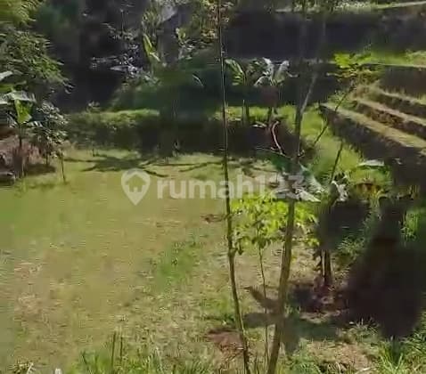 Tanah Luas Lingkungan Asri Di Ciwaruga Bandung Shm Bisa Nego Cocok Untuk Investasi Atau Buka Usaha