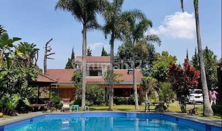 Villa Mewah Lokasi Strategis Dekat Lembang Park Zoo Lembang Bandung Cocok Untuk Investasi Atau Kepemilikan Pribadi