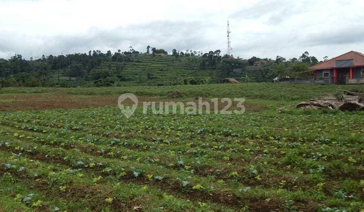 Tanah Luas Cocok untuk Investasi di Cisarua Bandung Barat SHM