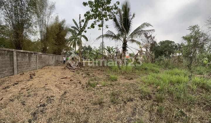 Suitable for Industrial and Warehousing