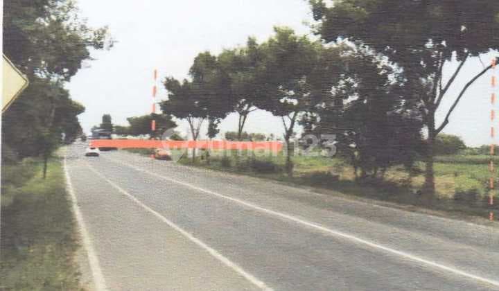 LAND FOR RENT by the main road on the Pantura route, Kragan-Rembang Street, Temaji Village, TUBAN, East Java.