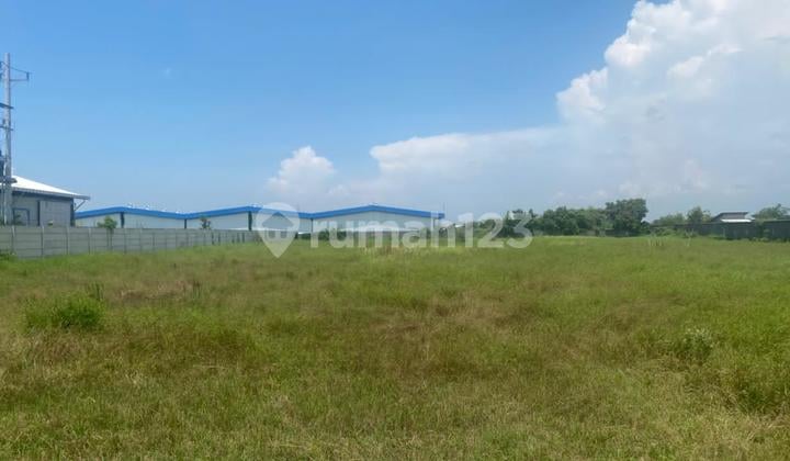 Dijual Tanah Lahan Industri di Kraton, Pasuruan, Jawa Timur