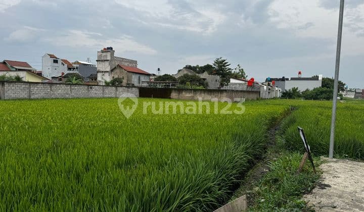 Dijual Tanah Cipadung Matang bisa Dibuat Koskosan