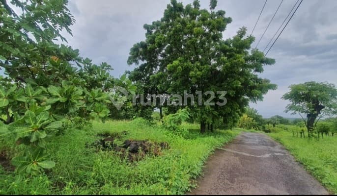 Tanah Di Jual Di Karang Asem Tulamben Bali