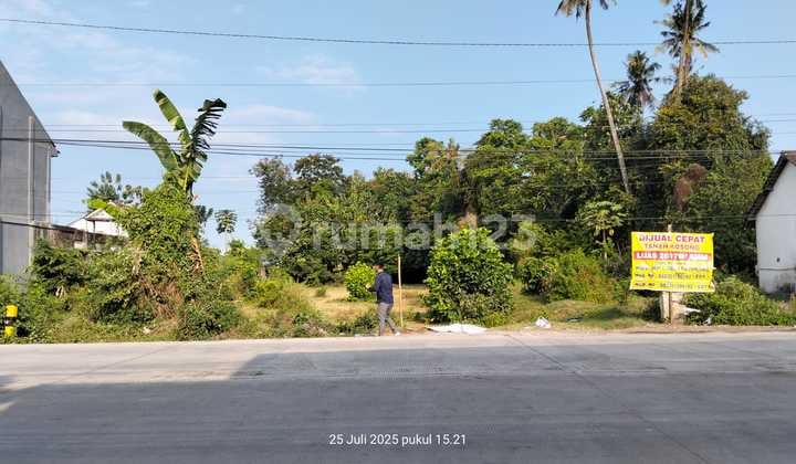 For Sale by Auction Kasiyan Puger Jember Land