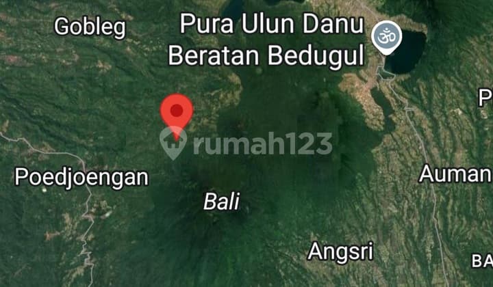 Kebun Produktif 4ha View Gunung & Laut Di Gesing Buleleng