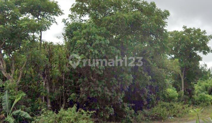 Premium 1000m² Land on Pandawa Beach Main Road, Bali