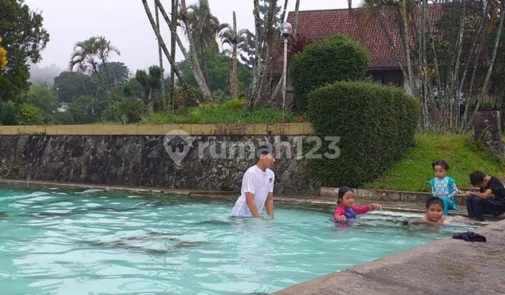 Villa 3 Kamar di Cisarua Ada Kolam Renang