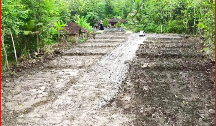 Jl. Nasional Sentolo, Tanah Yogyakarta Dekat RS. Queen Lathifa