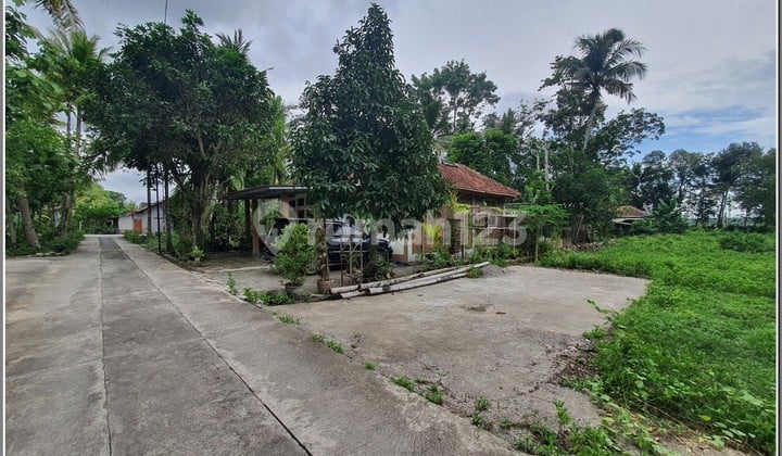 Kolonprogo Panjatan, 13 Km ke Bandara YIA. Siap Bangun, SHM Pekarangan