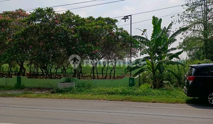 Land for Agriculture or Settlement