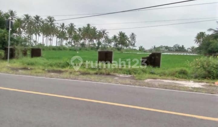 Tanah 1,5 Ha Pinggir Jalan Raya Panimbang Dekat Tol SHM Murah