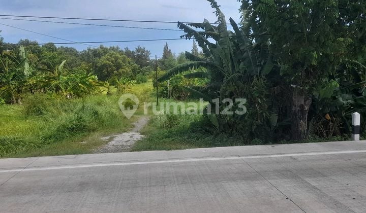 Tanah di Pantura Dekat Obyek Wisata Purwahamba Indah