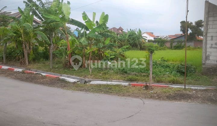 Tanah Darat Wilayah Mejasem Pala Barat 2