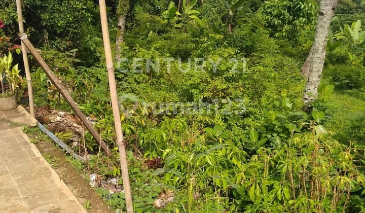 LAND BY THE SIDE OF JONGGOL MAIN ROAD, FRIENDLY PRICE