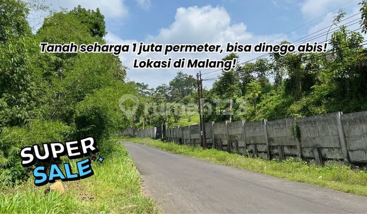 Wagir Malang Plot - only around a million, what are you waiting for?
