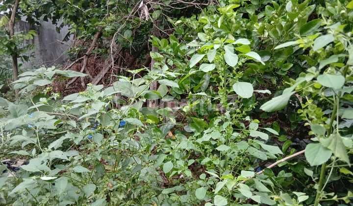 Land 216m, Access for 2 Cars, Flood-Free, Pondok Kelapa.