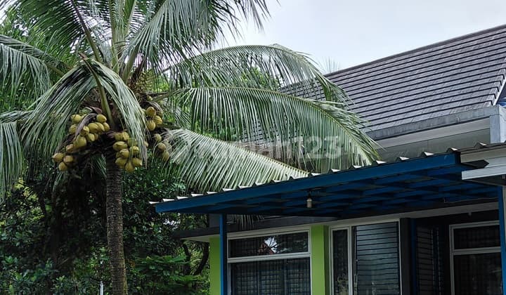 Rumah Siap Sewa di Hook. Lokasi Strategis di Sentul City. Bogor