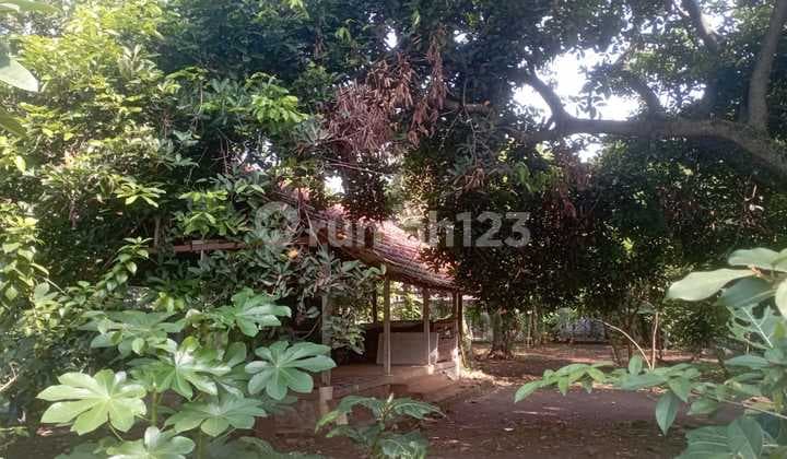 Dijual Tanah Dekat Citra Gran Cibubur Jalan Pulo