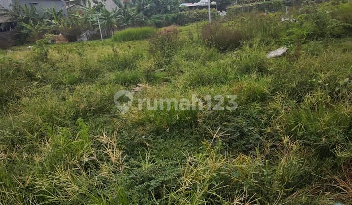 Tanah Super Strategis Di Jalan Peta Utara Kalideres Jakarta Barat