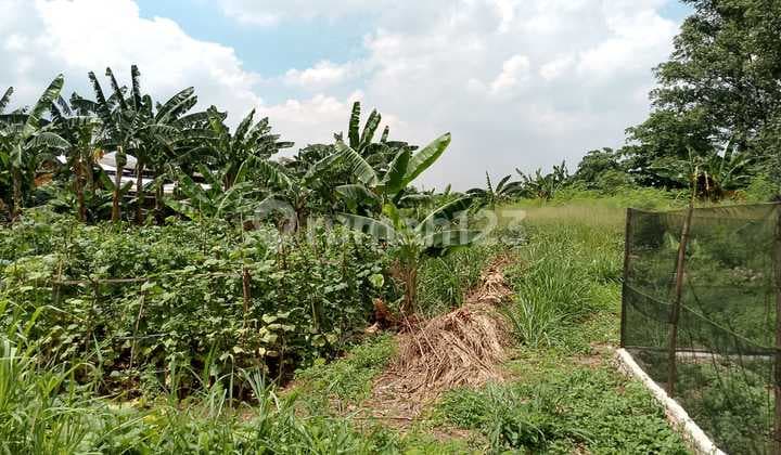 Tanah Strategis Semanan Raya Daan Mogotjakarta Barat