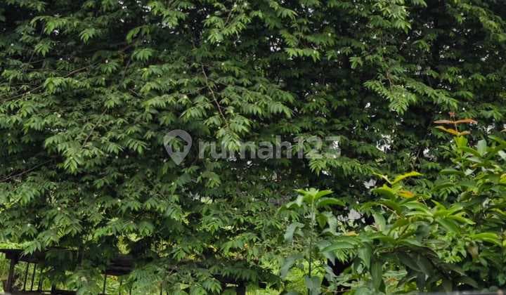 Tanah Ring Road Cengkareng Barat Jakarta Barat