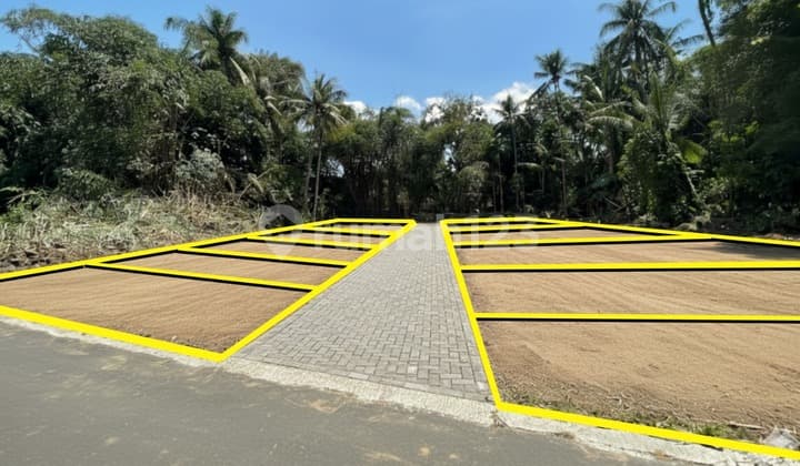 Tanah Murah Tridadi, Siap AJB Cuma 6 Menit Gor Tridadi