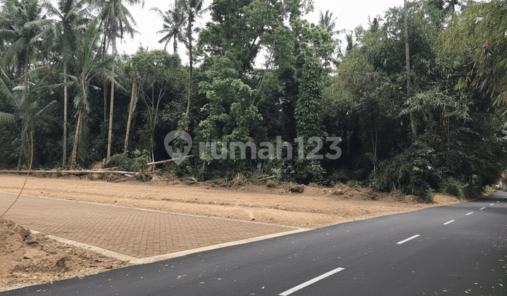 Lokasi Emas Daerah Sleman Utara, Belakang BPN Sleman