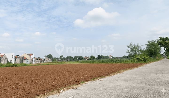 Investasi Masa Depan, Tanah Jogja 5 Menit Al Azhar Yogyakarta World Schools