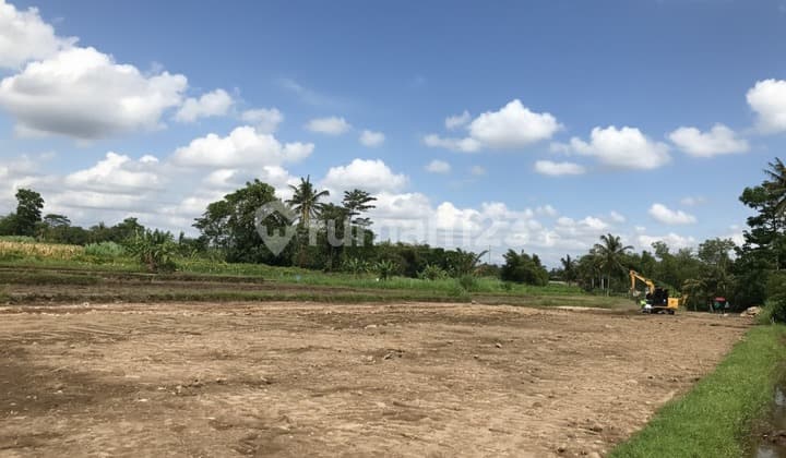 Dijual Tanah Palagan, Harga 3,6jt/m Bisa Cicilan 12x Tanpa Bunga