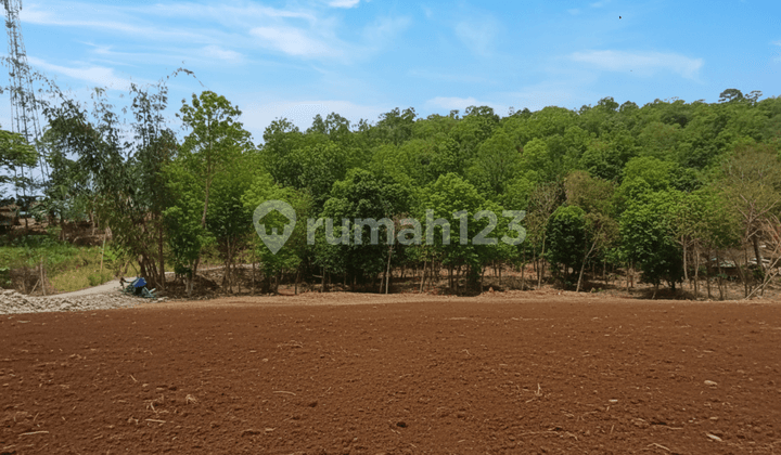 Jual Tanah Murah Area Bantul, Lokasi Strategis 5 Menit Pasar Pleret