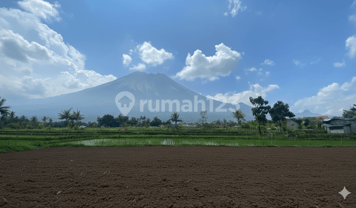 Tanah Siap Bangun Lokasi Palagan, 3 Menit Jejamuran Resto