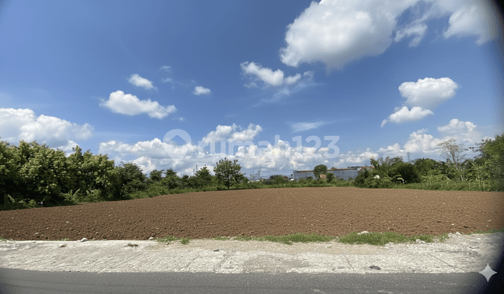 Ready-to-Build Land in Bantul Location, Just 10 Minutes to Ngipik Market in Gede City