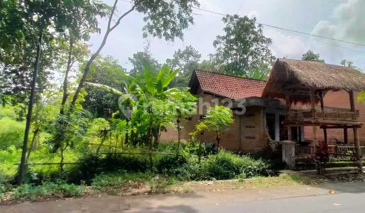 Tanah Strategis 1888 m2 SHM Desa Adat Kemiren Glagah, Banyuwangi