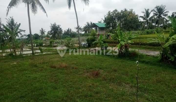 Lahan View Laut & Gunung 400 m2 SHM Glagah, Banyuwangi