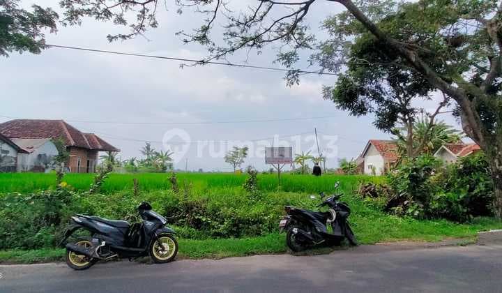 Tanah 4070 m2 SHM Lokasi Premium dekat Bandara Blimbingsari, Banyuwangi