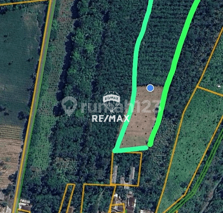 Dijual Tanah Luas & Murah - Kalibaru Manis Kab. Banyuwangi