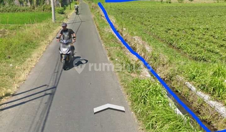 Tanah super strategis di belakang Hotel Santika 11857 m2 SHM Sobo, Banyuwangi