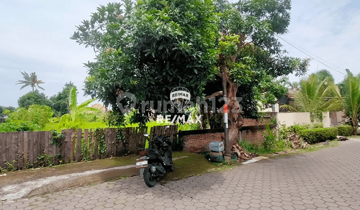 Dijual Tanah Tengah Kota - Banyuwangi