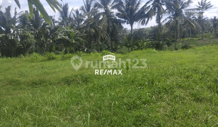 Dijual Tanah Kavlingan Glagah, Banyuwangi