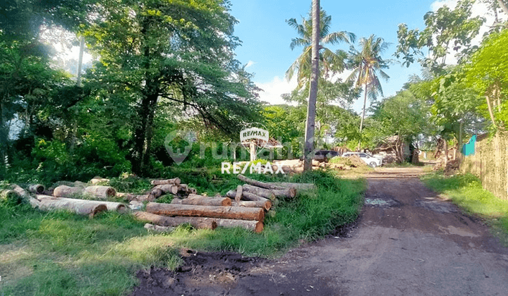 Dijual Tanah Strategis Argopuro, Banyuwangi Kota