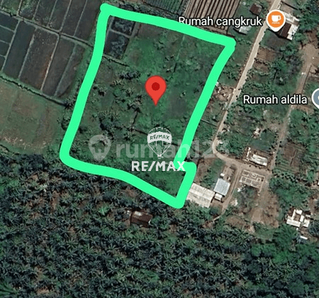 Dijual Tanah Strategis - Kalirejo, Banyuwangi