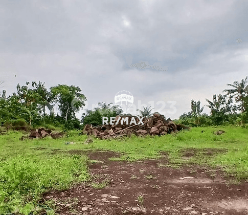 Dijual Tanah / Lahan Kering Siap Bangun - Rogojampi, Banyuwangi