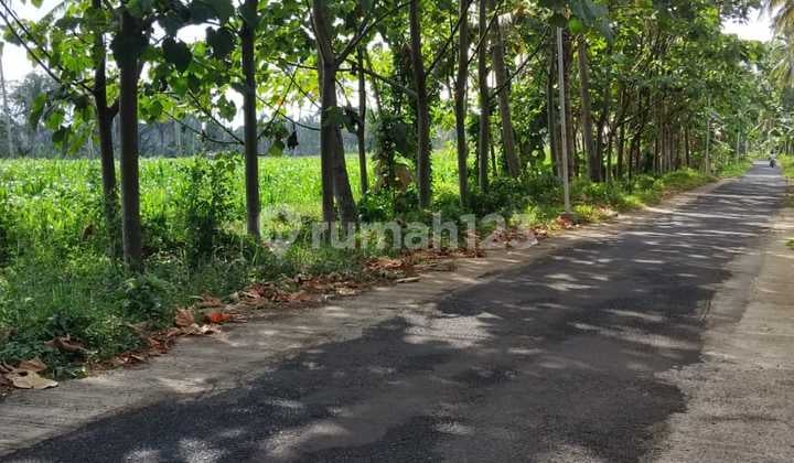 Dijual Tanah SHM 33400 m2 Glagah, Banyuwangi